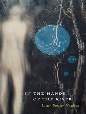 cover image of In the Hands of the River
